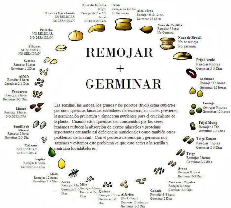 Remojar_germinar